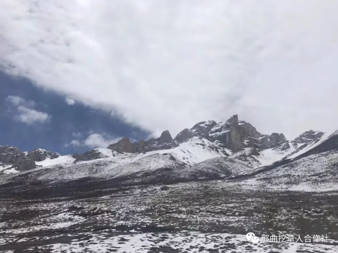 1552638854681623.png 4.png