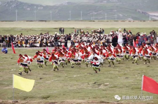 1552639407736919.png 7.png