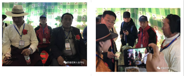 1552639433119352.png 10.png