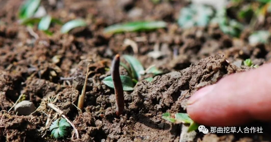 1554279297126289.png image.png